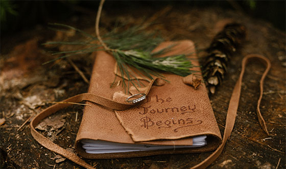 Leather bound journal outside on a pine tree stump