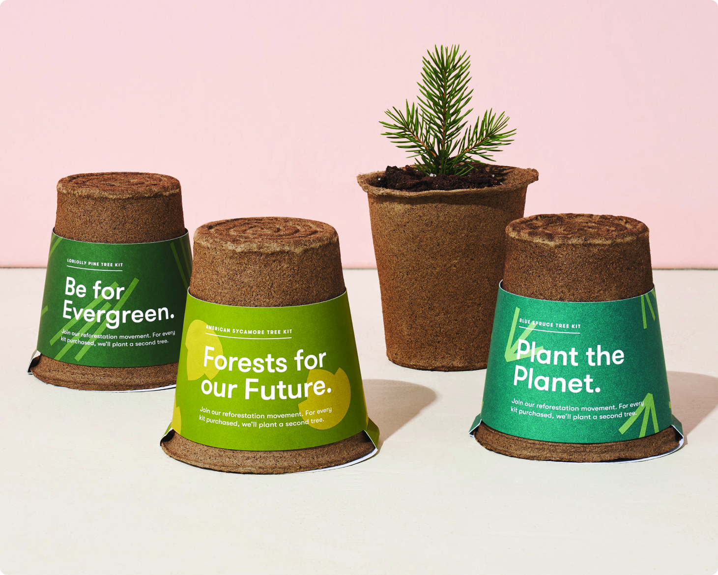 MODERN SPROUT® 1-FOR-1 TREE KITS