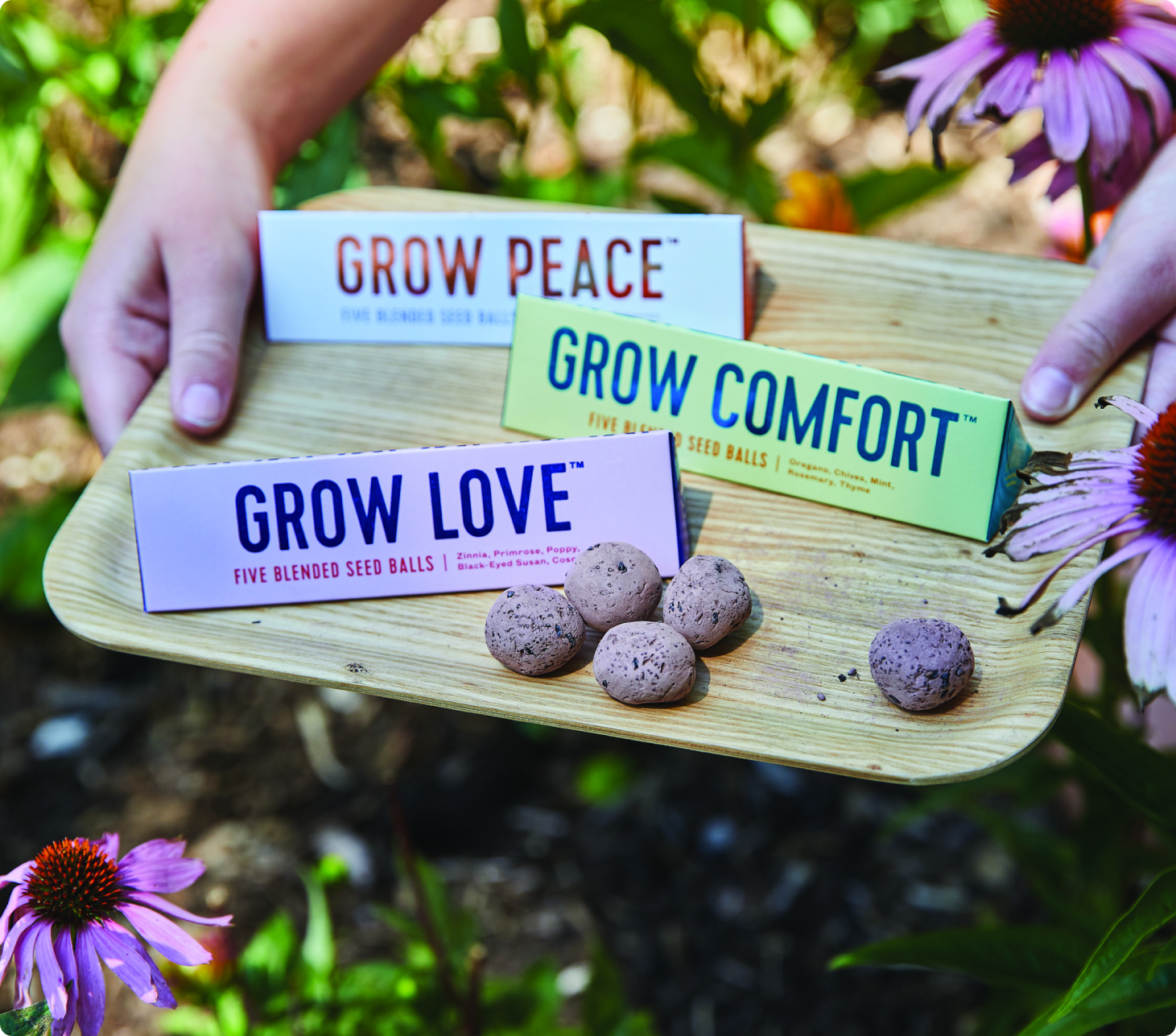 MODERN SPROUT® BRIGHT SIDE SEED BALLS
