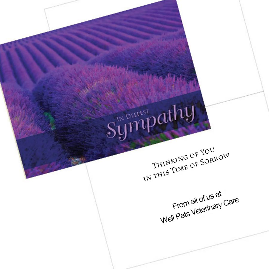 Lavender Field Sympathy Card