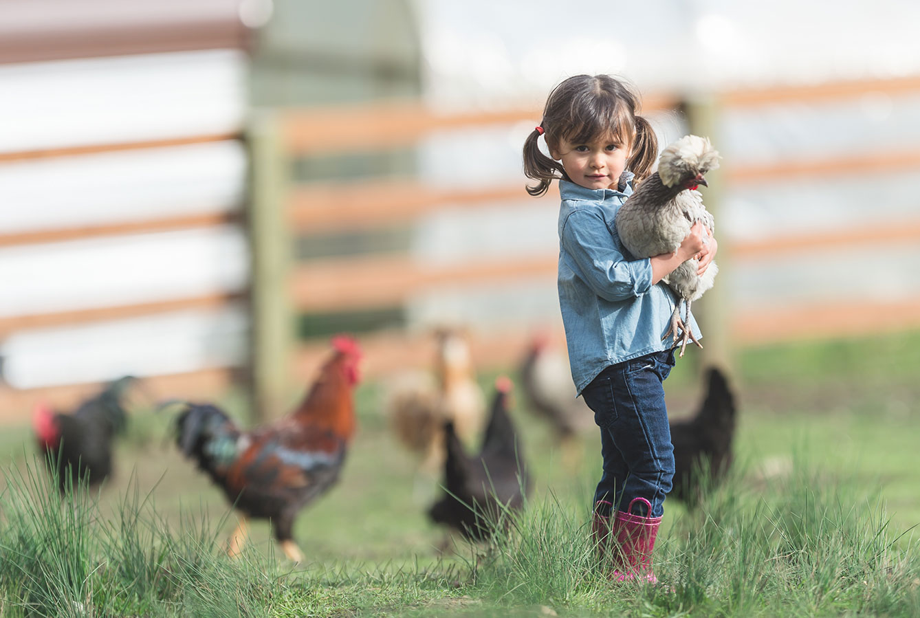 girl with chickens on homestead