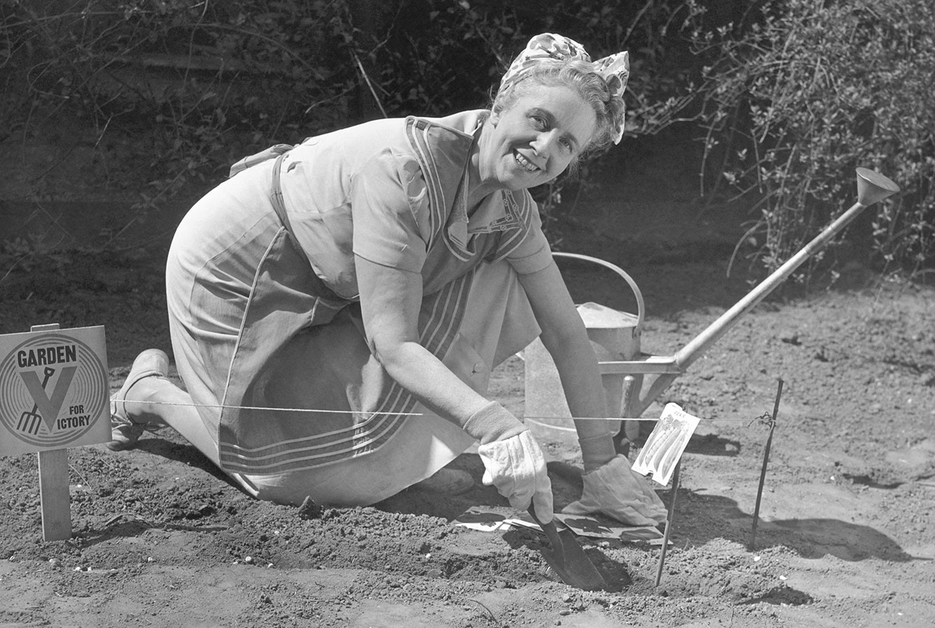 historical image of woman working on victory garden