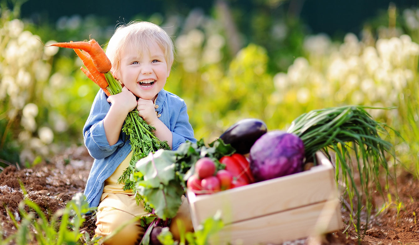 vegetable at home