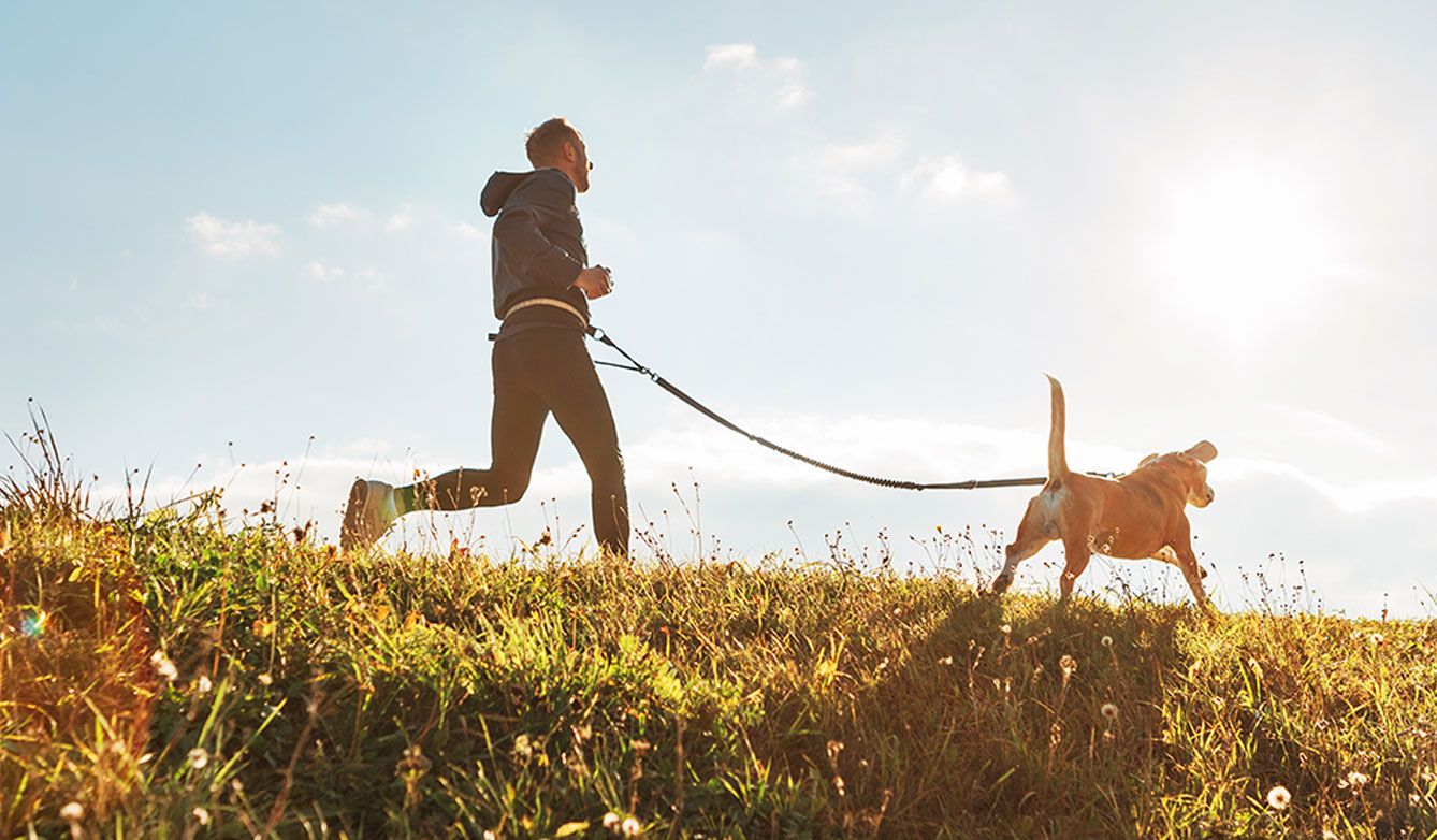 outdoor exercising with pet