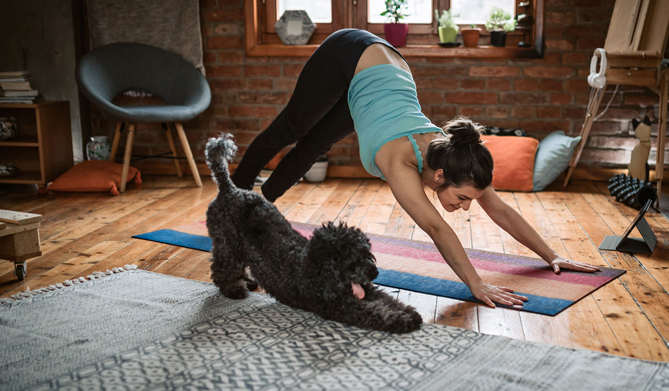 doing yoga with pet