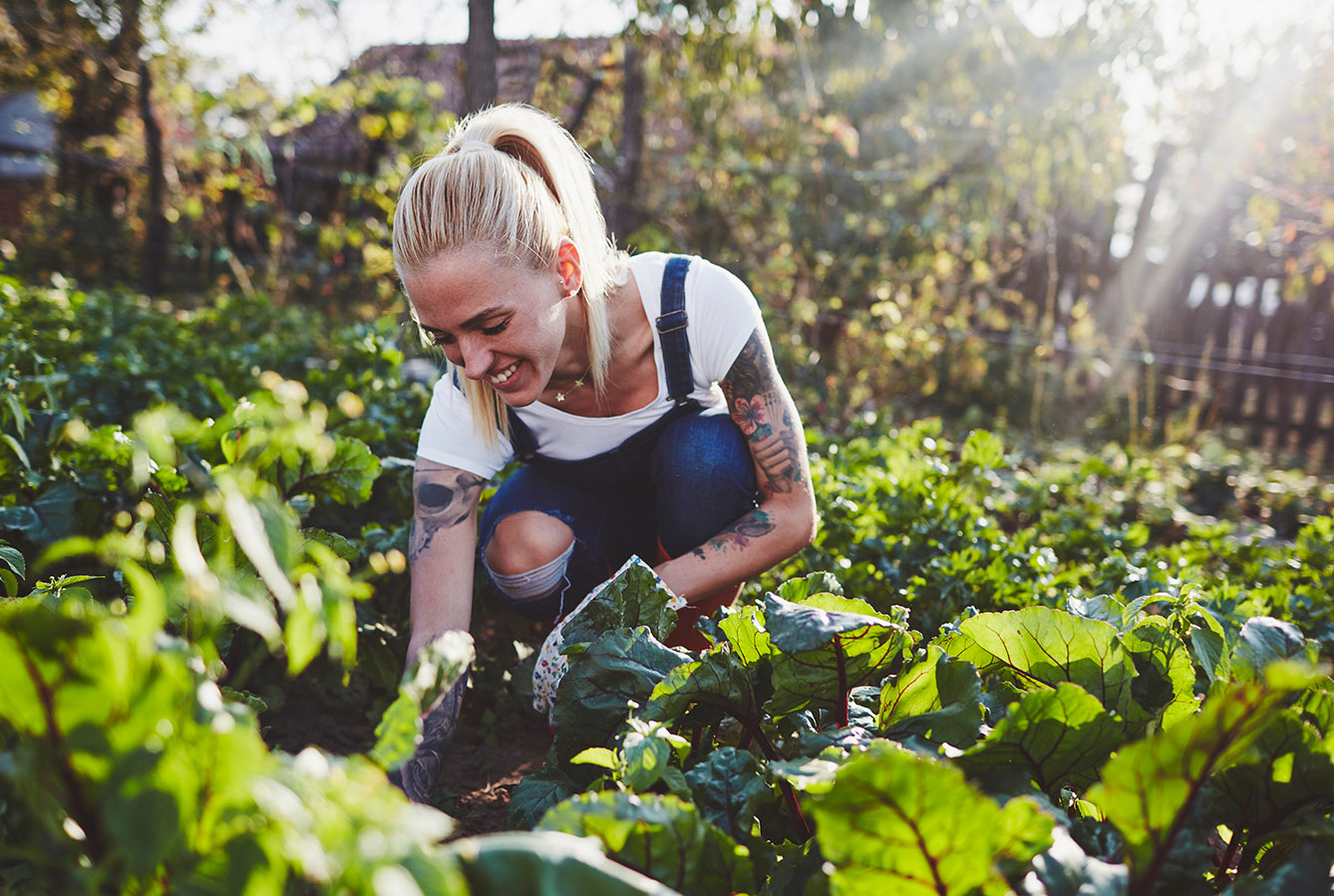 Woman weeding home garden